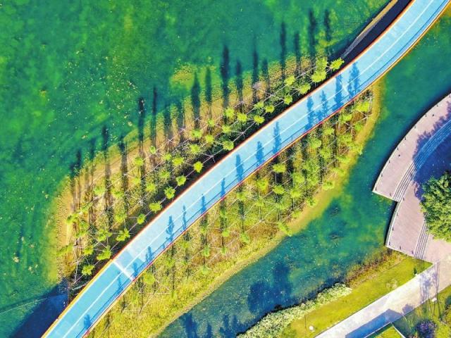 隐藏在成都公园里面的城市之美