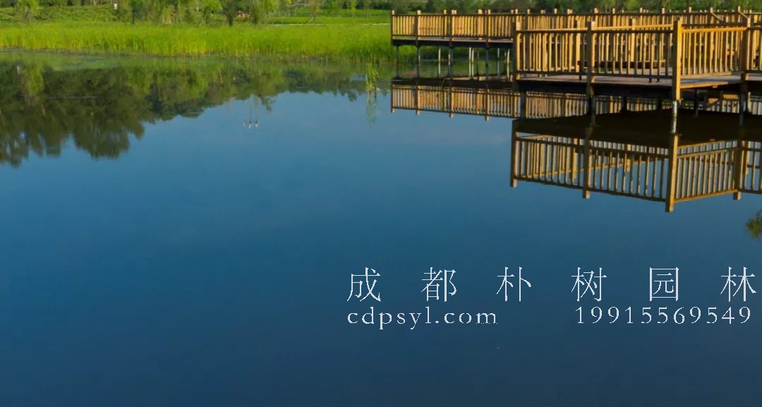 苗木百科，苗木之最，苗木大全