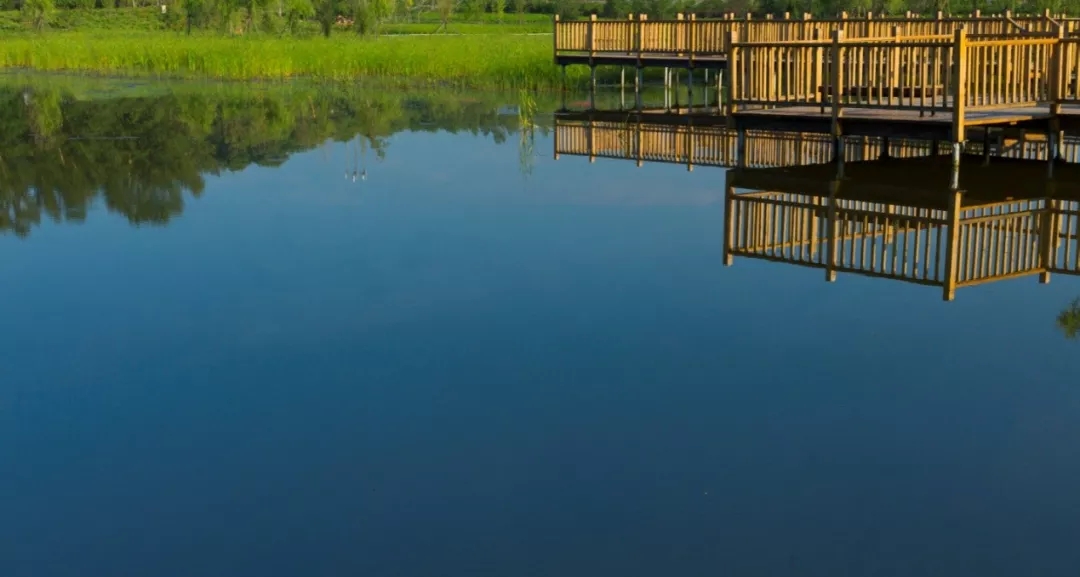 苗木百科，苗木之最，苗木大全