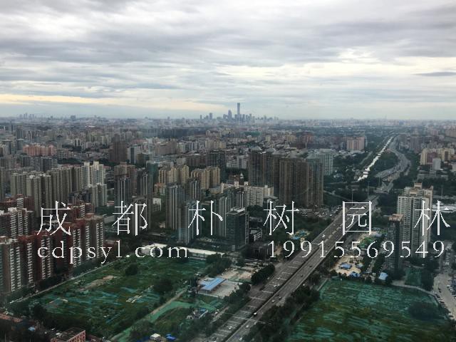 五线换乘、开窗见绿……国内首个园林式商务区加速建设