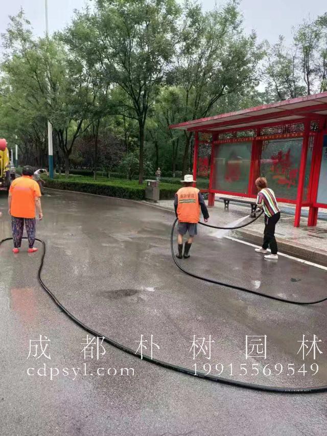 台风过后 潍坊园林环卫全面启动雨后恢复