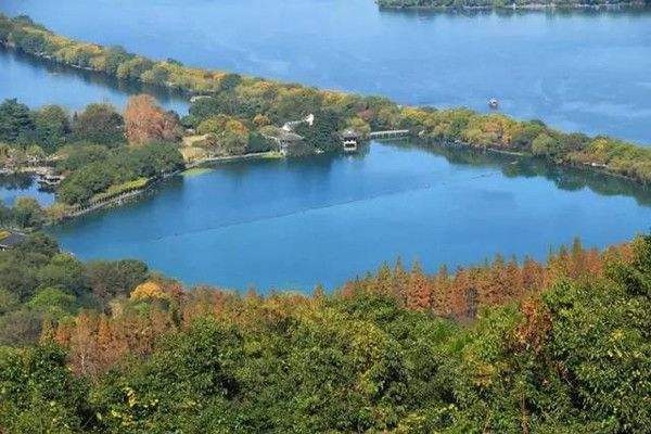 黄连木立枯病和尺蛾的防治方法有哪些？