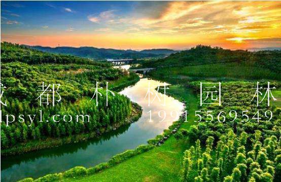 云南省迪庆州：生态美景今有成 齐抓共管守红线