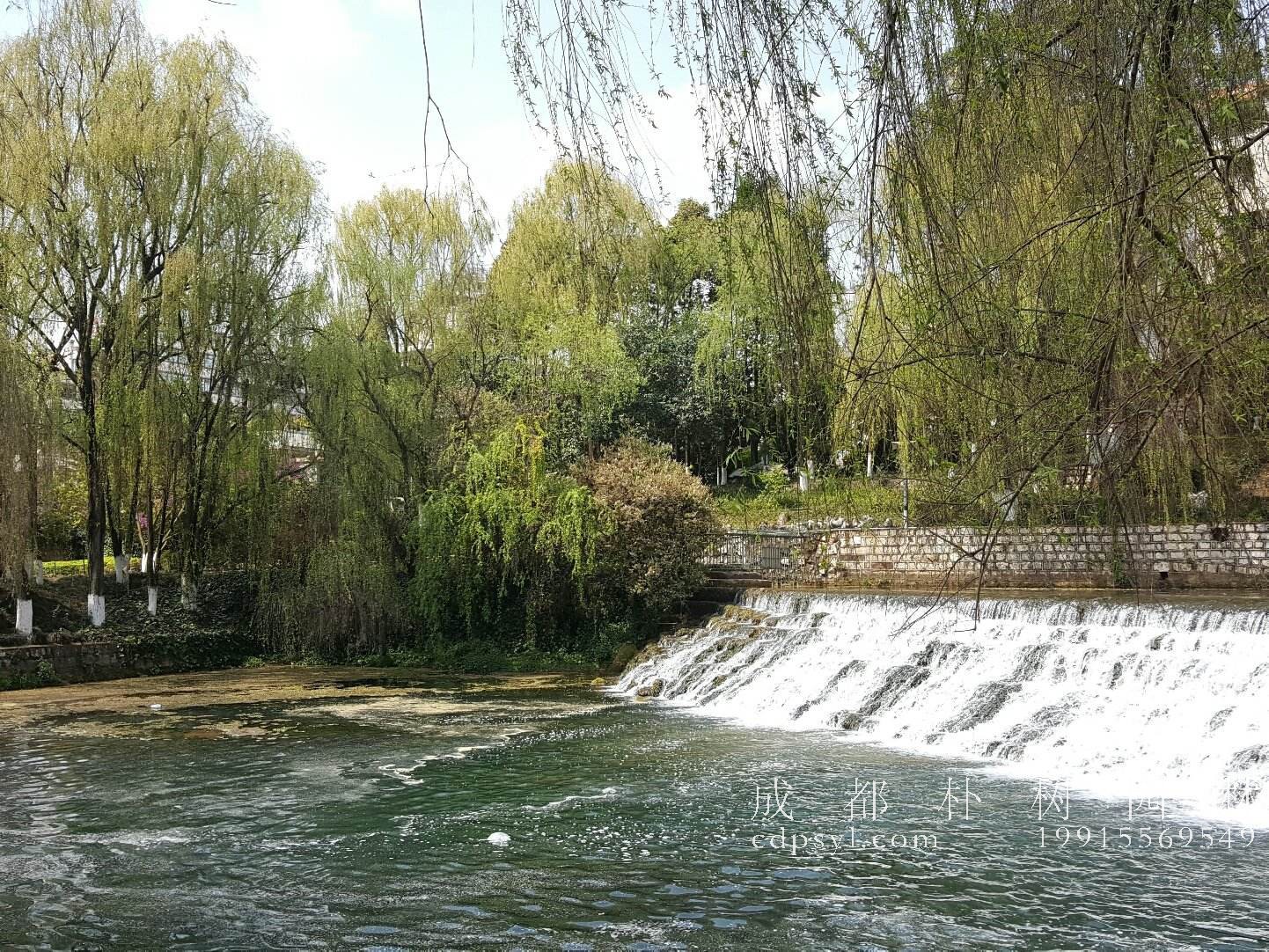 昆明市人均公园绿地面积达10.93平方米 人住环境得到不断改善