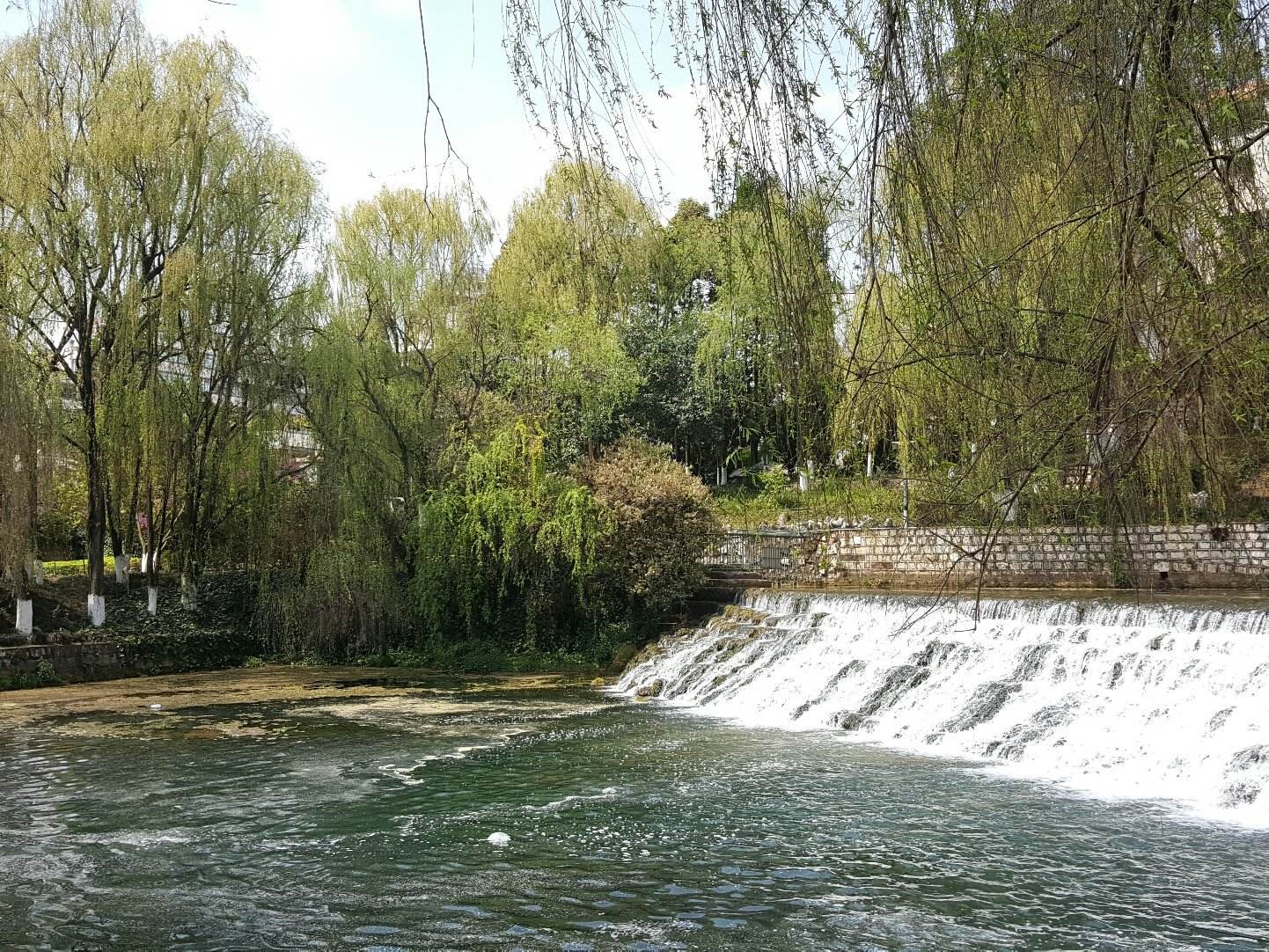 昆明市人均公园绿地面积达10.93平方米 人住环境得到不断改善