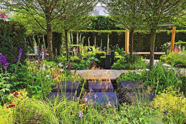 家中庭院植物病虫害多？这些方法都用了吗？