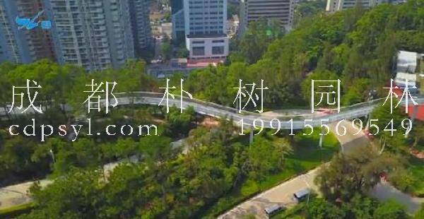 厦门岛森林景观提升改造一期基本完工