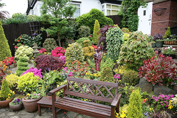 天气渐微凉，植物渐枯黄，怎么养护？