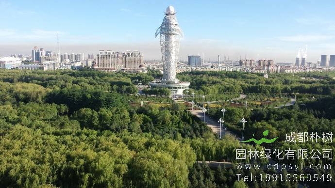 从“风吹石头跑”到“出门见绿伸手触水”