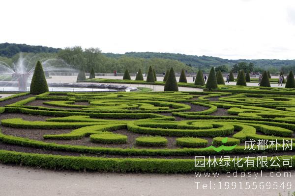 近年来，乌海市坚持打造节约型园林绿化，用最少的水、最少的钱、最易成活的树，选择对周围生态环境最少干扰的园林绿化模式，使绿地生态效益最大化，城市园林实现了从“绿起来”到“美起来”“用起来”的转变。