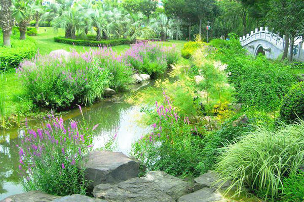 成都朴树园林：庭院花境如何营造？ 