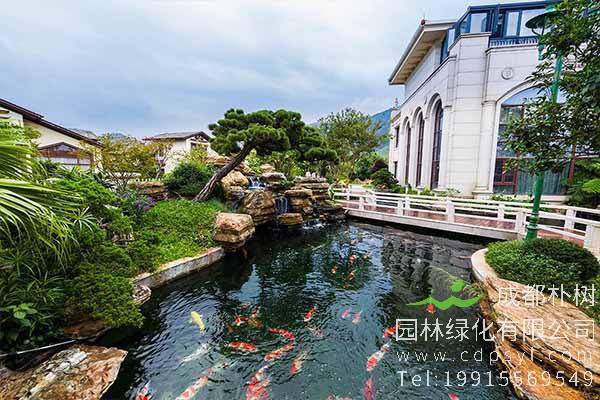 平常应该如何养护自己的私人花园？ 