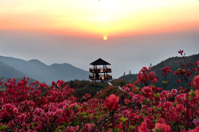 “2019中国森林旅游节”将于10月18日至20日在南通举办