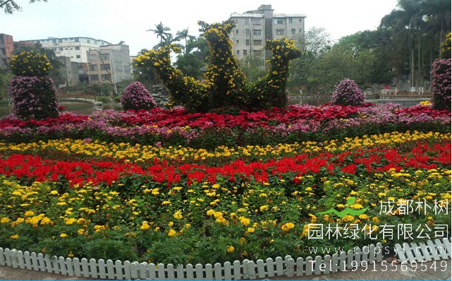 2019中国·横栏花木交易博览会将于11月2日开幕