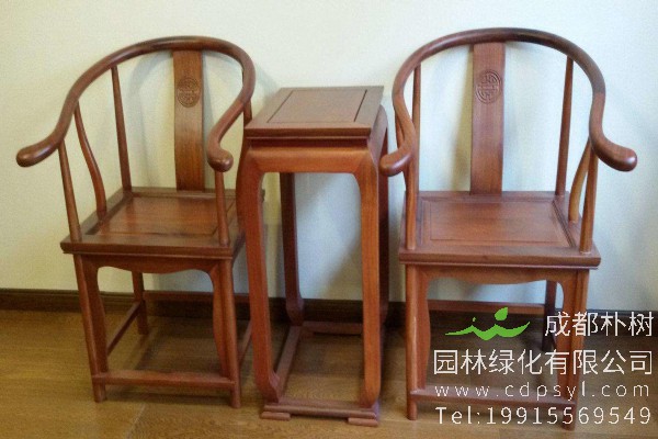 桃花心木价格-图片-形态特征-主要价值-分布范围-生长习性