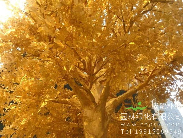 黄金树的主要价值有哪些？