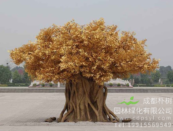 黄金树与梓树的区别有哪些？