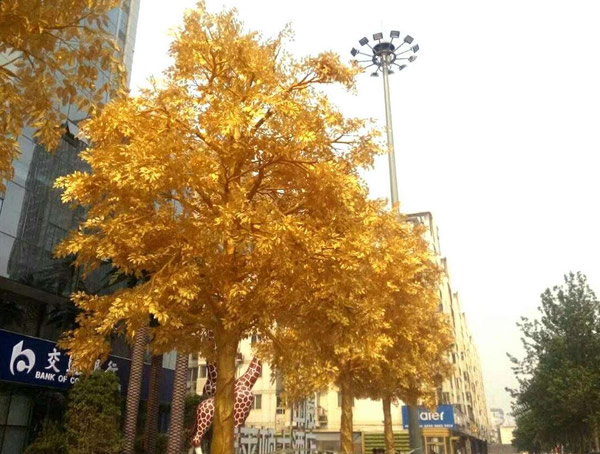黄金树是什么样的？