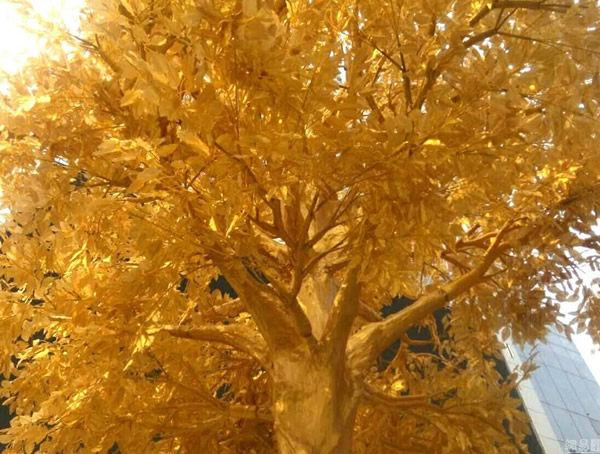 黄金树的主要价值有哪些？