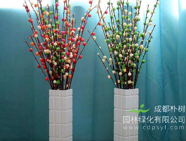 银柳的花语是什么？银柳的象征寓意是什么？