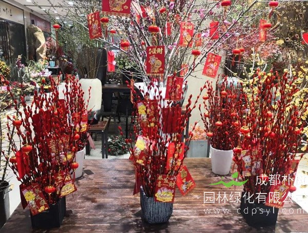 花店买的几根七彩银柳怎么养？