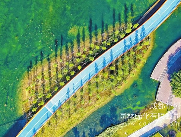 隐藏在成都公园里面的城市之美