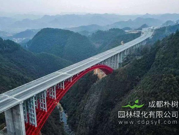 全线道路绿化，贵州这条高速公路即将通车