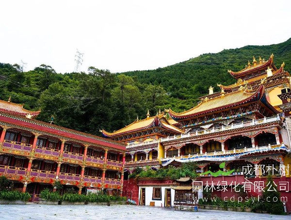 古代城池内外的绿化(街路艺术)，寺庙里的绿色景观