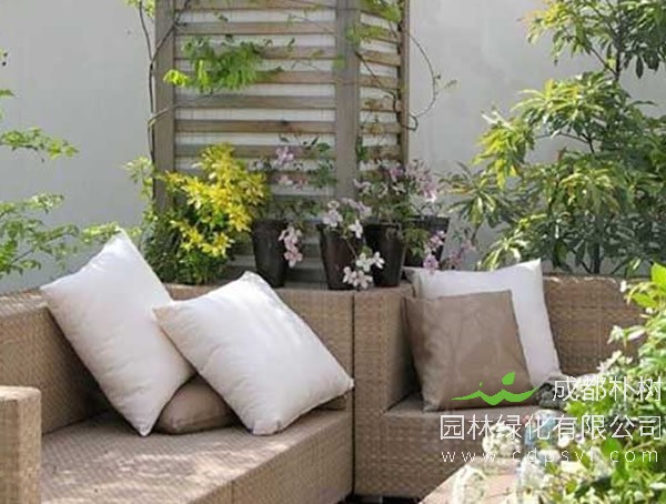 屋顶花园绿化这样保养，倍有面儿！