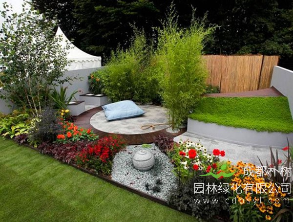 小院子应该如何营造植物景观？