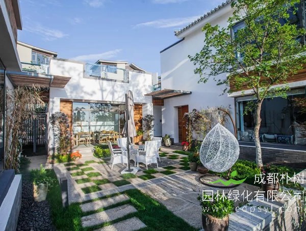 自己在庭院种树，树种选择需要注意什么？