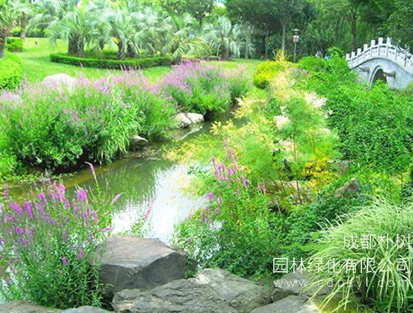 成都朴树园林：庭院花境如何营造？ 