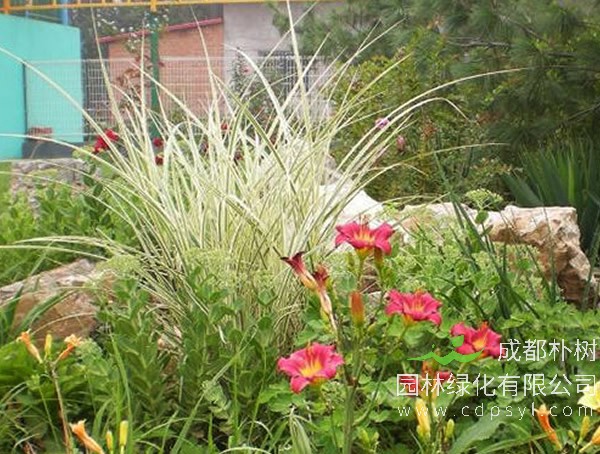 成都朴树园林：庭院花境如何营造？ 