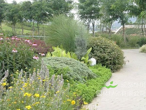 成都朴树园林：庭院花境如何营造？ 