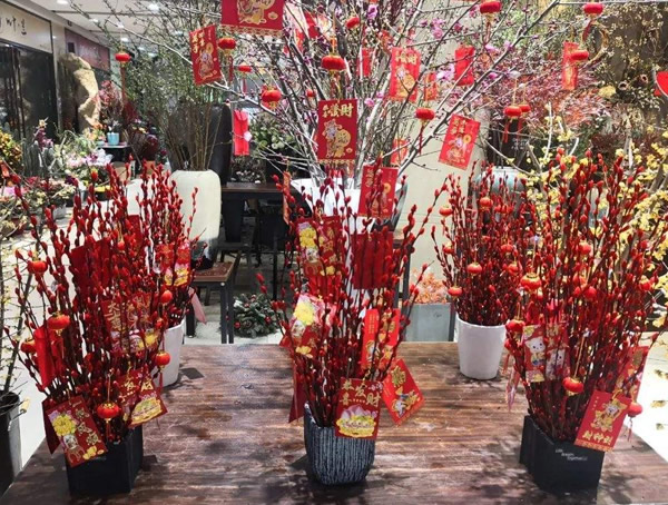 花店买的几根七彩银柳怎么养？