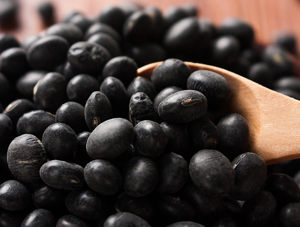 黑豆是什么豆？黑豆治疗白发吗？