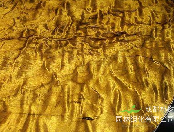 金丝楠木多少钱一吨？