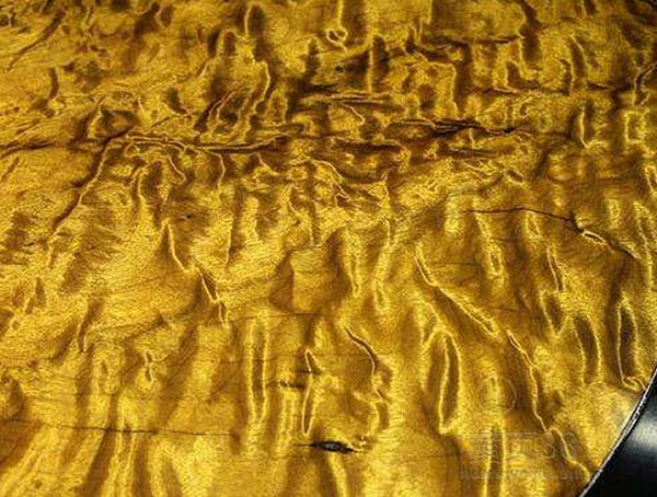 金丝楠木多少钱一吨？