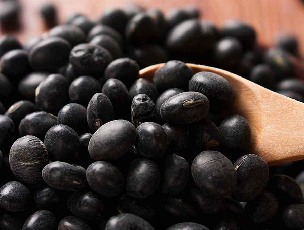 黑豆怎么吃最好？黑豆食用方法介绍