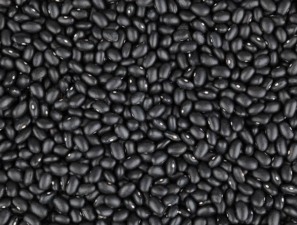 南方黑豆种植方法及种植时间分别是什么？