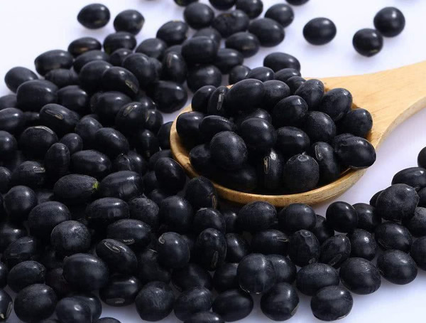 黑豆黄心好还是绿心好？有哪些区别？