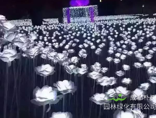 夜光玫瑰如何种出来的？