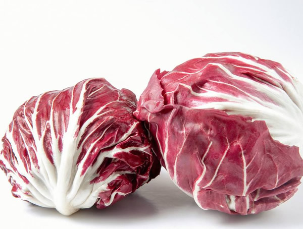 红菊苣的功效与作用有哪些？