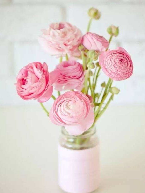 陆莲花花期是几月？开花时间是多久？