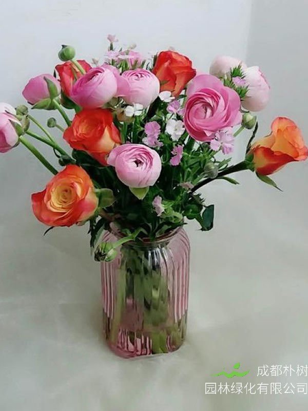 洋牡丹花期是多少天？什么时间开花？